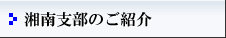 湘南支部のご紹介